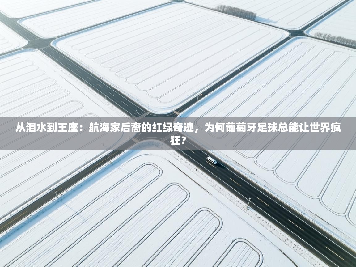 从泪水到王座:航海家后裔的红绿奇迹,为何葡萄牙足球总能让世界疯狂? 第2张